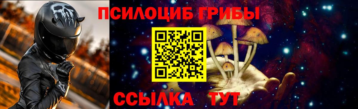 Псилоцибиновые грибы Psilocybine cubensis Нижнекамск
